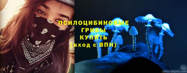 стаф Медвежьегорск