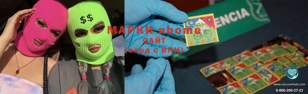 прущие грибы Михайловка
