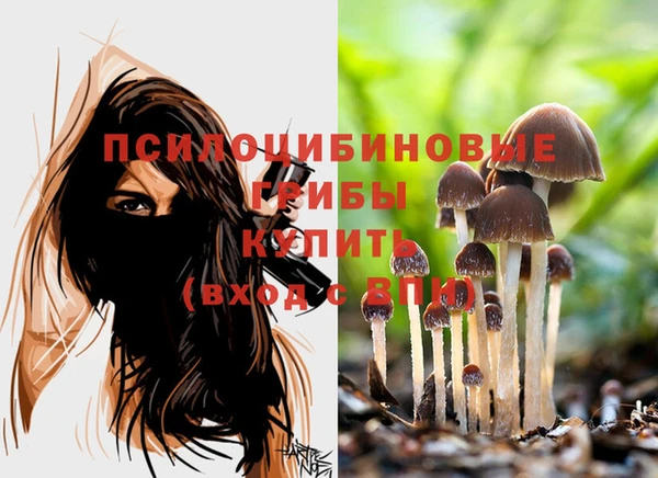 PSILOCYBIN Михайловск