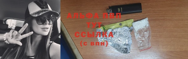 стаф Медвежьегорск