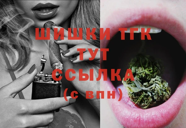 spice Михайлов