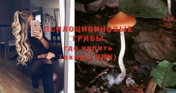 стаф Медвежьегорск